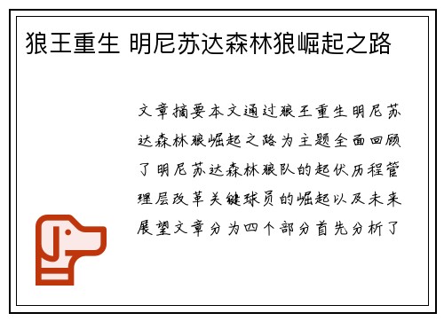 狼王重生 明尼苏达森林狼崛起之路 狼王重生 明尼苏达森林狼崛起之路