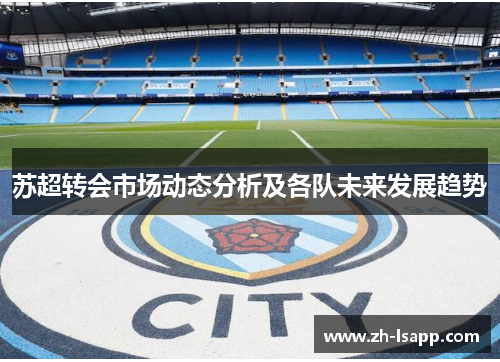 苏超转会市场动态分析及各队未来发展趋势 苏超转会市场动态分析及各队未来发展趋势